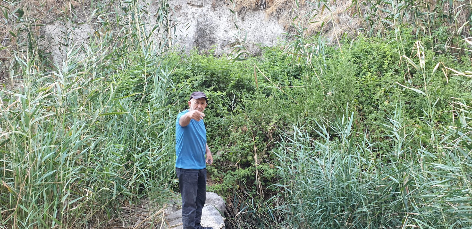 WhatsApp Image 2021-06-05 at 10.00.33 PM (1).jpeg